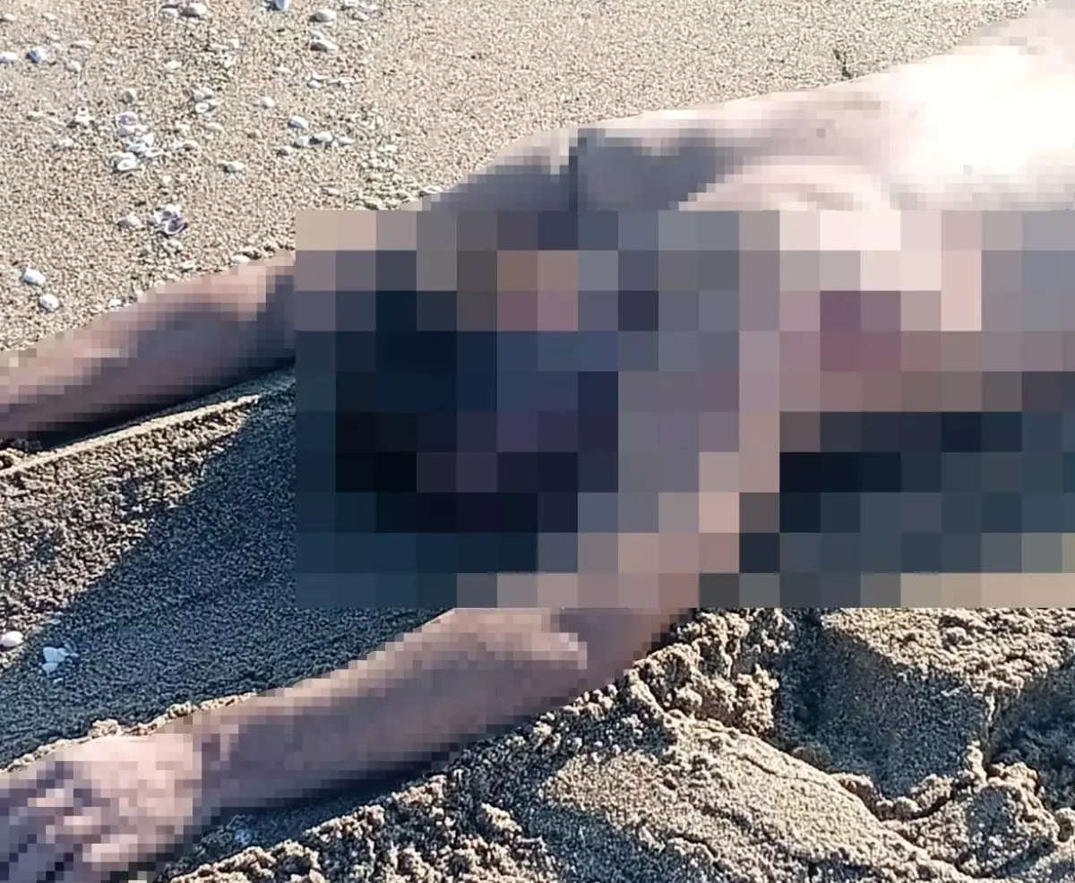 sakaryada ciplak erkek cesedi bulundu juKI6tY9