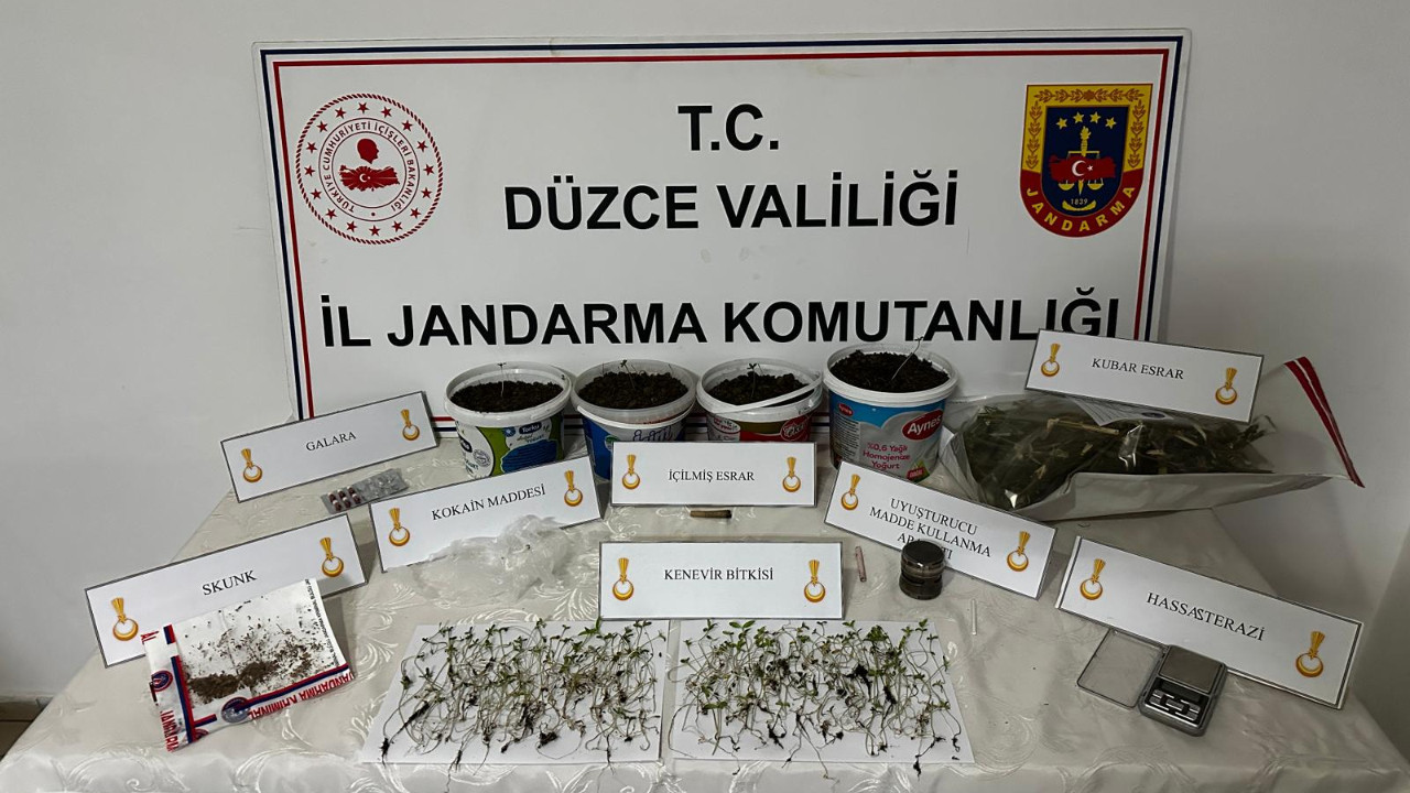 Düzce’de Kenevir Yetiştiren Şüpheliye Jandarmadan Baskın